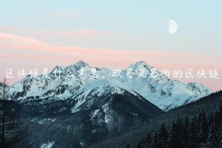 区块链是什么意思，欧意易 交易平台的区块链