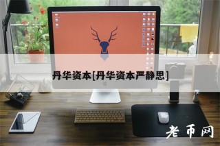 丹华资本[丹华资本严静思]