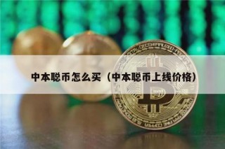 中本聪币怎么买（中本聪币上线价格）