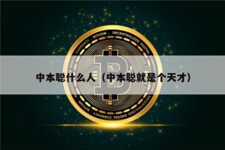 中本聪什么人（中本聪就是个天才）
