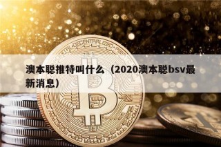 澳本聪推特叫什么（2020澳本聪bsv最新消息）