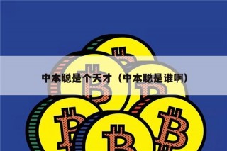 中本聪是个天才（中本聪是谁啊）