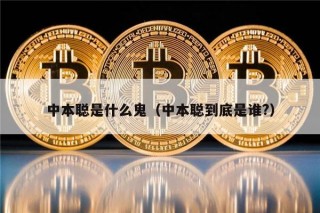 中本聪是什么鬼（中本聪到底是谁?）