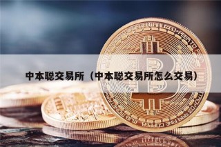 中本聪 交易平台（中本聪 交易平台怎么交易）