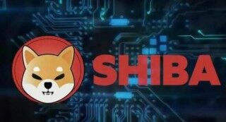 奇亚币价格(奇亚币价格走势图)