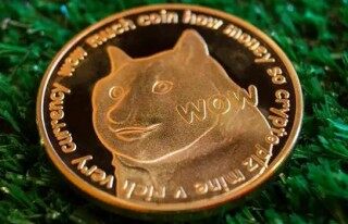 dog币最新版狗币 狗币 交易平台官网下载地址