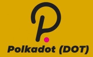 dot币 交易平台安卓下载地址入口 dot币交易平台下载