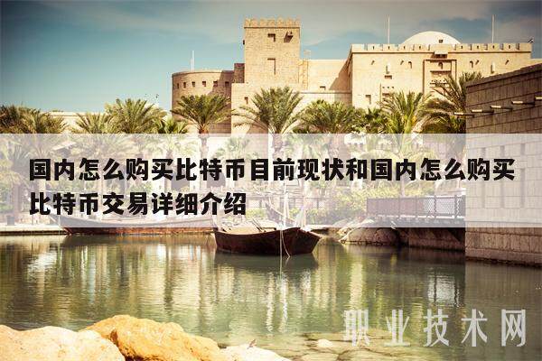 国内怎么购买比特币目前现状和国内怎么购买比特币交易详细介绍-第1张图片-欧易下载