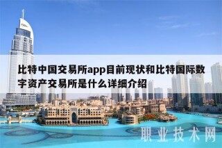 比特中国 交易平台app目前现状和比特国际数字资产 交易平台是什么详细介绍