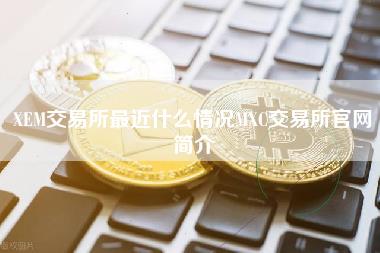 XEM交易所最近什么情况MXC交易所官网简介