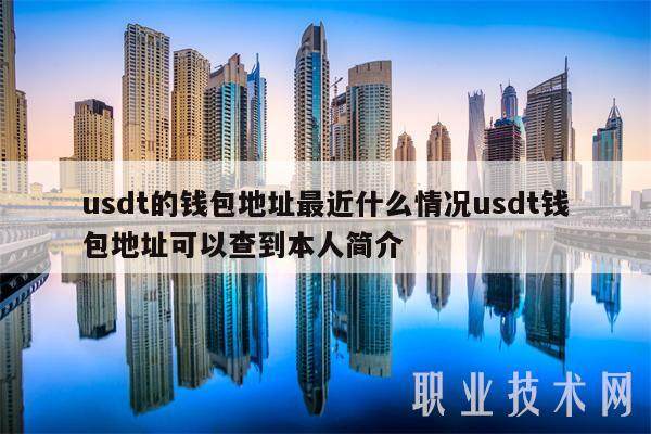 usdt的钱包地址最近什么情况usdt钱包地址可以查到本人简介-第1张图片-欧易下载