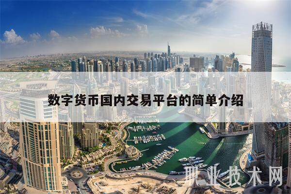 数字货币国内交易平台的简单介绍-第1张图片-欧易下载