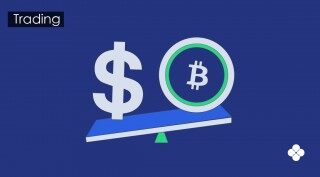 看持币信息和行情的软件 十大好用的币圈行情app