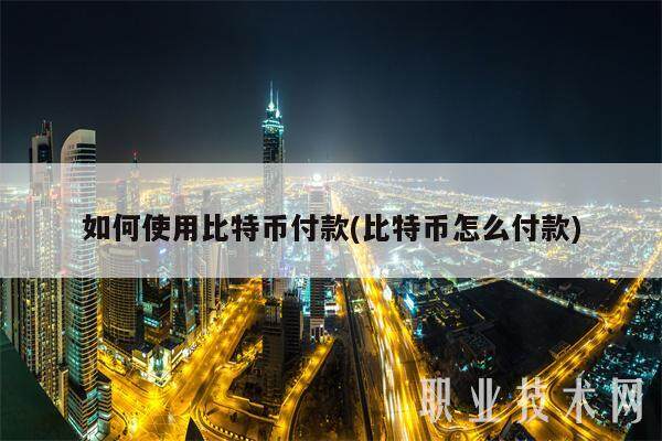 如何使用比特币付款(比特币怎么付款)-第1张图片-欧易下载