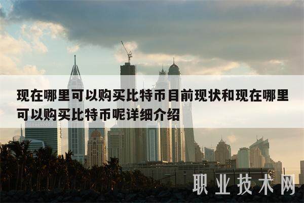 现在哪里可以购买比特币目前现状和现在哪里可以购买比特币呢详细介绍-第1张图片-欧易下载