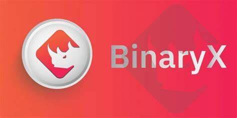 什么是BinaryX币-第1张图片-欧易下载
