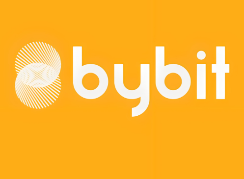 Bybit交易平台如何进行跨链转账-第1张图片-欧易下载