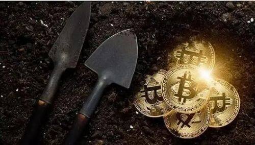 萨摩耶币（SAMO）是什么时候发行的？SAMO币可以做什么？-第1张图片-欧意下载