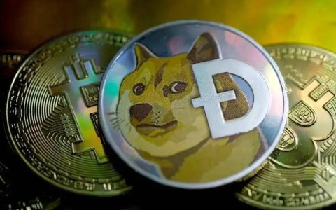 一枚doge币相当于多少钱 Doge币未来能涨到多少-第2张图片-欧易下载