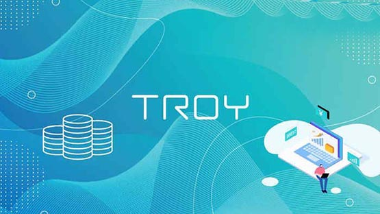 TROY币发展前景如何 TROY币未来前景分析-第1张图片-欧易下载