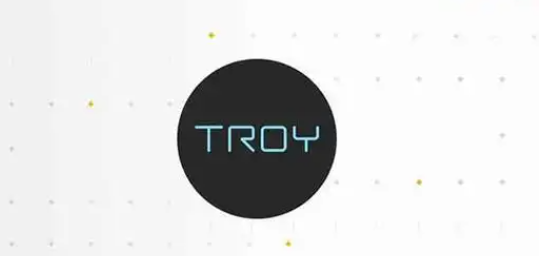TROY币发展前景如何 TROY币未来前景分析-第2张图片-欧易下载
