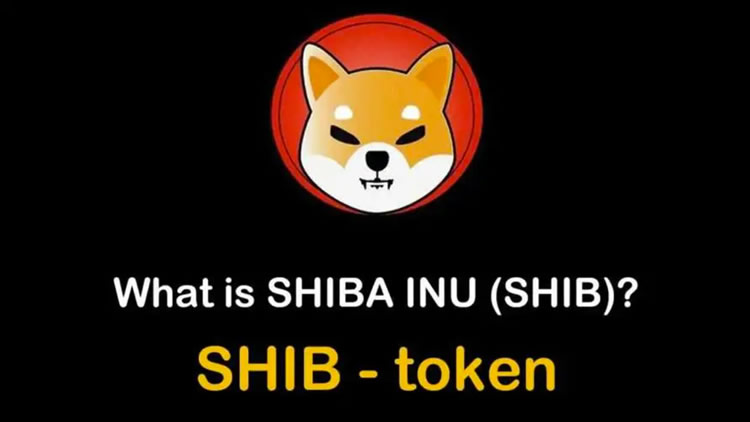 SHIB柴犬币是什么 详解柴犬币(shib币)项目介绍-第1张图片-欧易下载