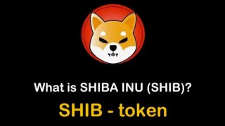 SHIB柴犬币是什么 详解柴犬币(shib币)项目介绍