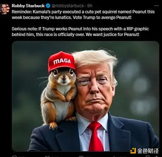 从安乐死到拯救美国，一文回顾网红松鼠Peanut的前世今生-第5张图片-欧易下载