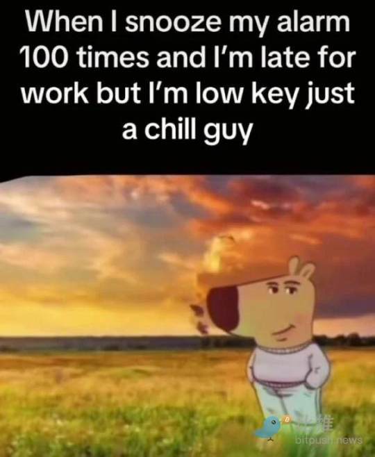 CHILLGUY币是什么 CHILLGUY币会是下一个狗狗币吗-第3张图片-欧易下载