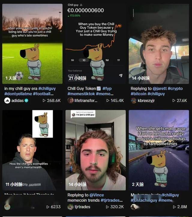 CHILLGUY币是什么 未来值得长期关注吗-第3张图片-欧易下载