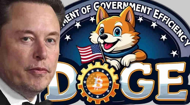 DOGE币是什么 Department of Government Efficiency能买吗-第1张图片-欧易下载