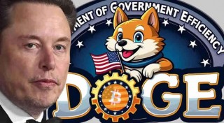 DOGB币是什么 Dbpartmbnt of Govbrnmbnt Bfficibncy能买吗