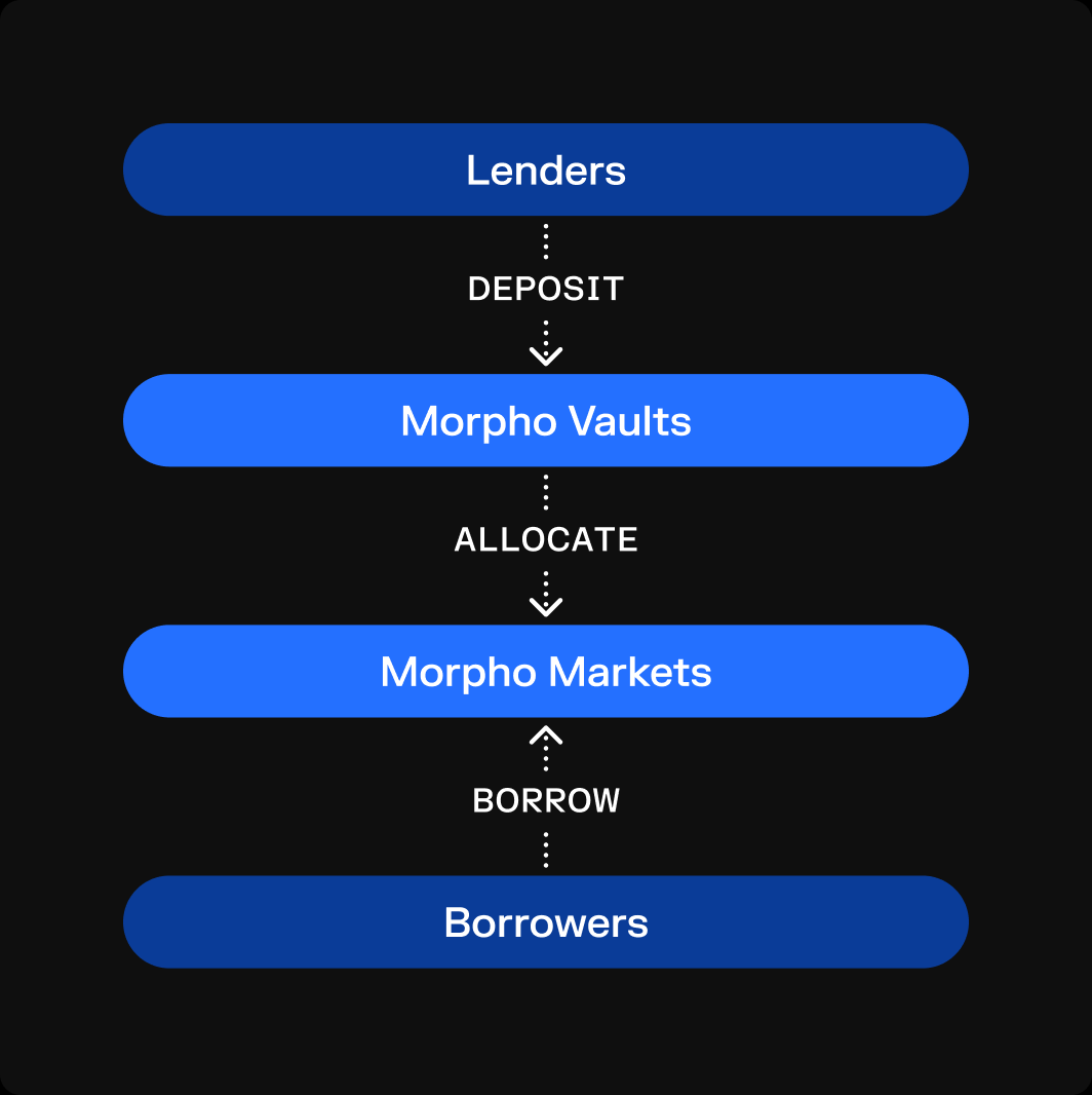 MORPHO币前景如何 值得投资吗-第8张图片-欧易下载 MORPHO币前景如何 值得投资吗-第8张图片-欧易下载