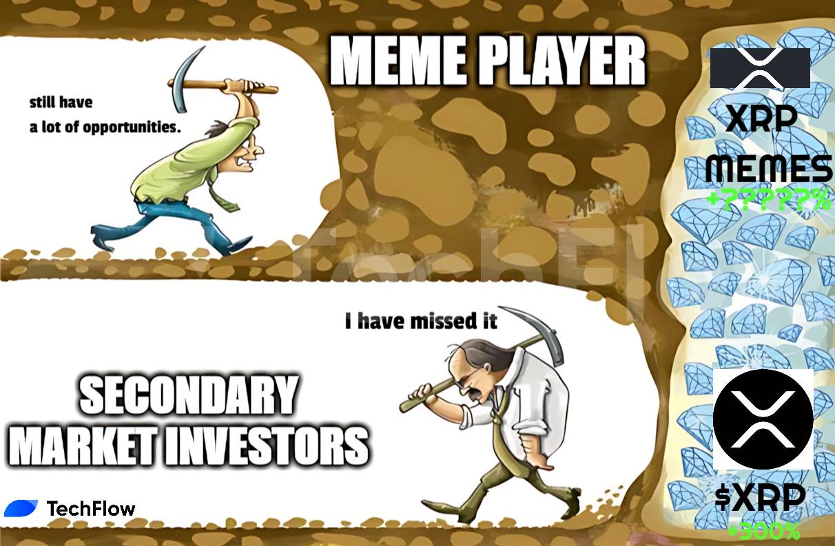 XRP涨幅惊人，瑞波生态内的热点Meme币更值得关注（附参与教程）-第1张图片-欧易下载