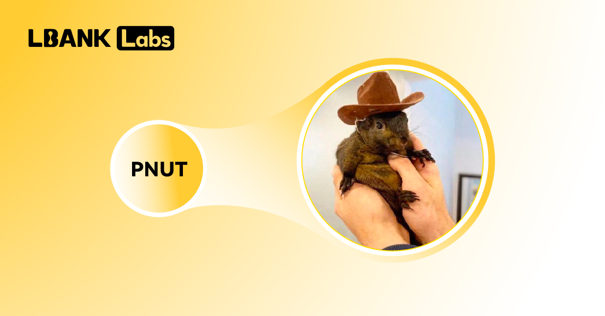 LBank Labs:盘点2024年10大热门Meme币-第15张图片-欧易下载 LBank Labs:盘点2024年10大热门Meme币-第15张图片-欧易下载